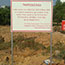 image12